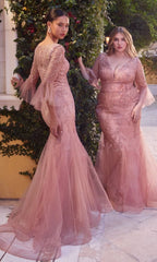 Ladivine Long Formal Dress a1342