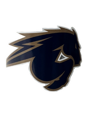 Charger Decal Large