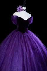 Modest Prom Dresses Ball Gown Off The Shoulder Purple Tulle With Sleeves Long Quince Dress N2966