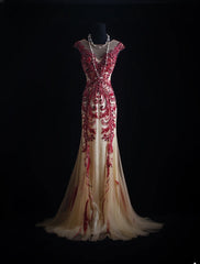 Vintage Prom Dresses 90s Formal Mermaid Scoop Neck Champagne With Red Beadings Long Party Gowns Prom Dresses AS023