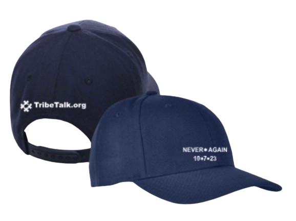 Never Again Hat